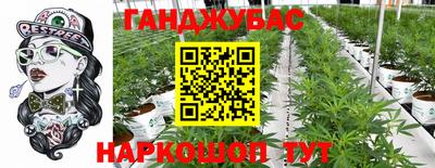 МДПВ Бийск