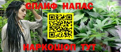 МДПВ Бийск