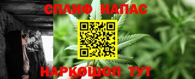 МДПВ Бийск