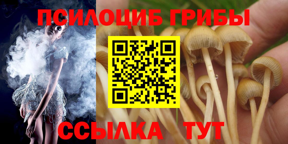 Кириши  Псилоцибиновые грибы GOLDEN TEACHER  Вход с VPN  Псилоцибиновые грибы мицелий 