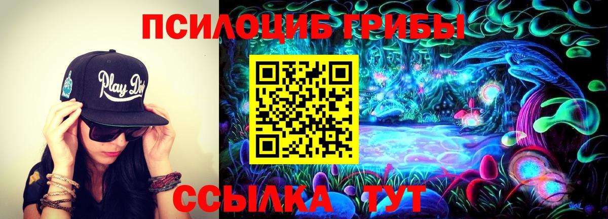 Галлюциногенные грибы Psilocybe Кириши